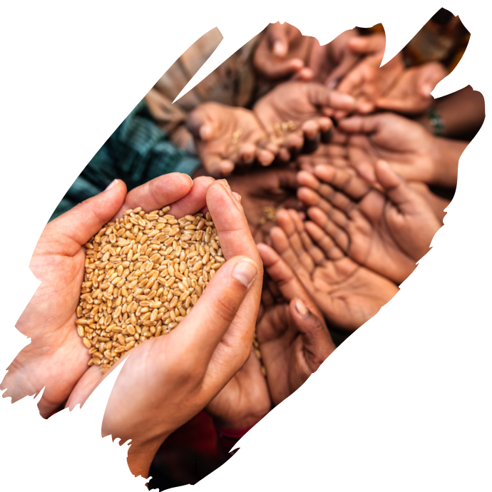 Your paragraph text 2