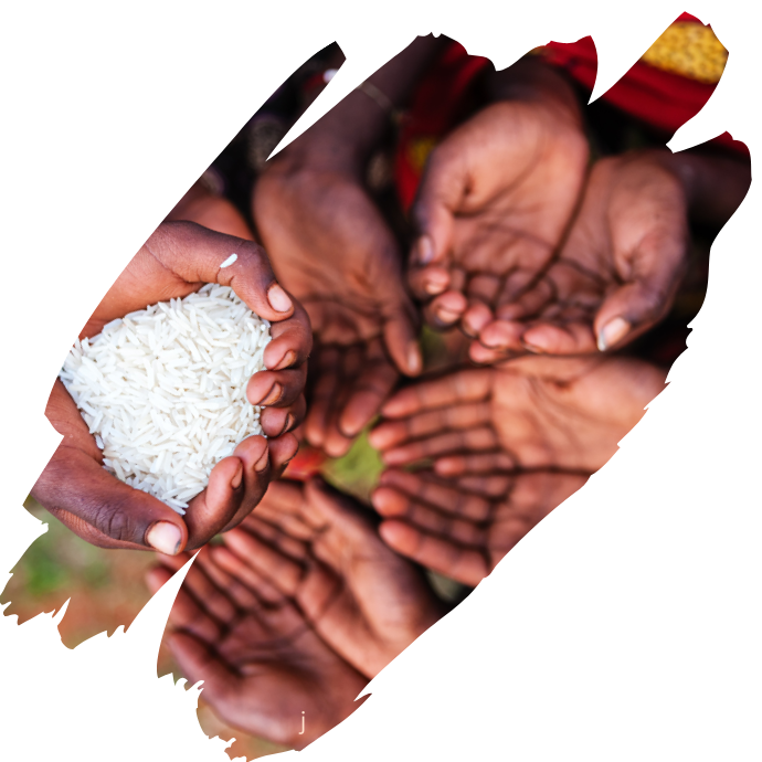 Your paragraph text 4